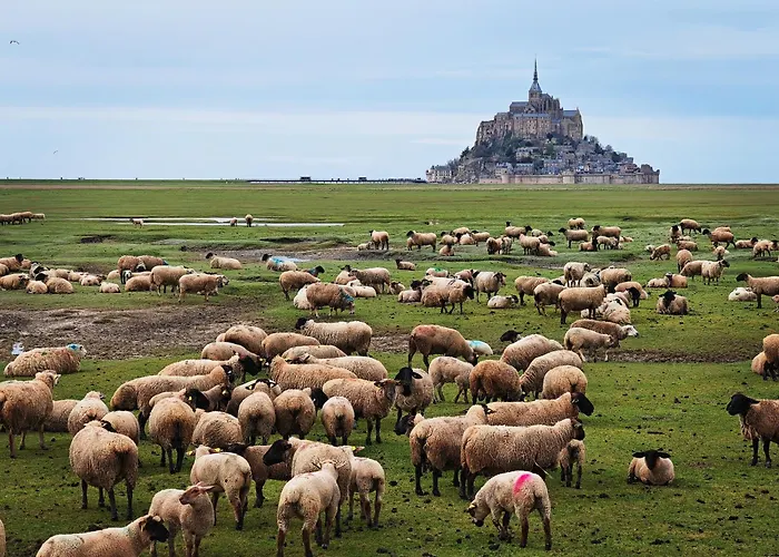 Domaine De L\'Isle Maniere